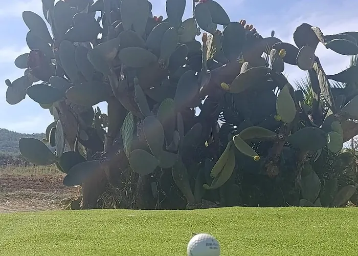 Lina Sicily 度假居